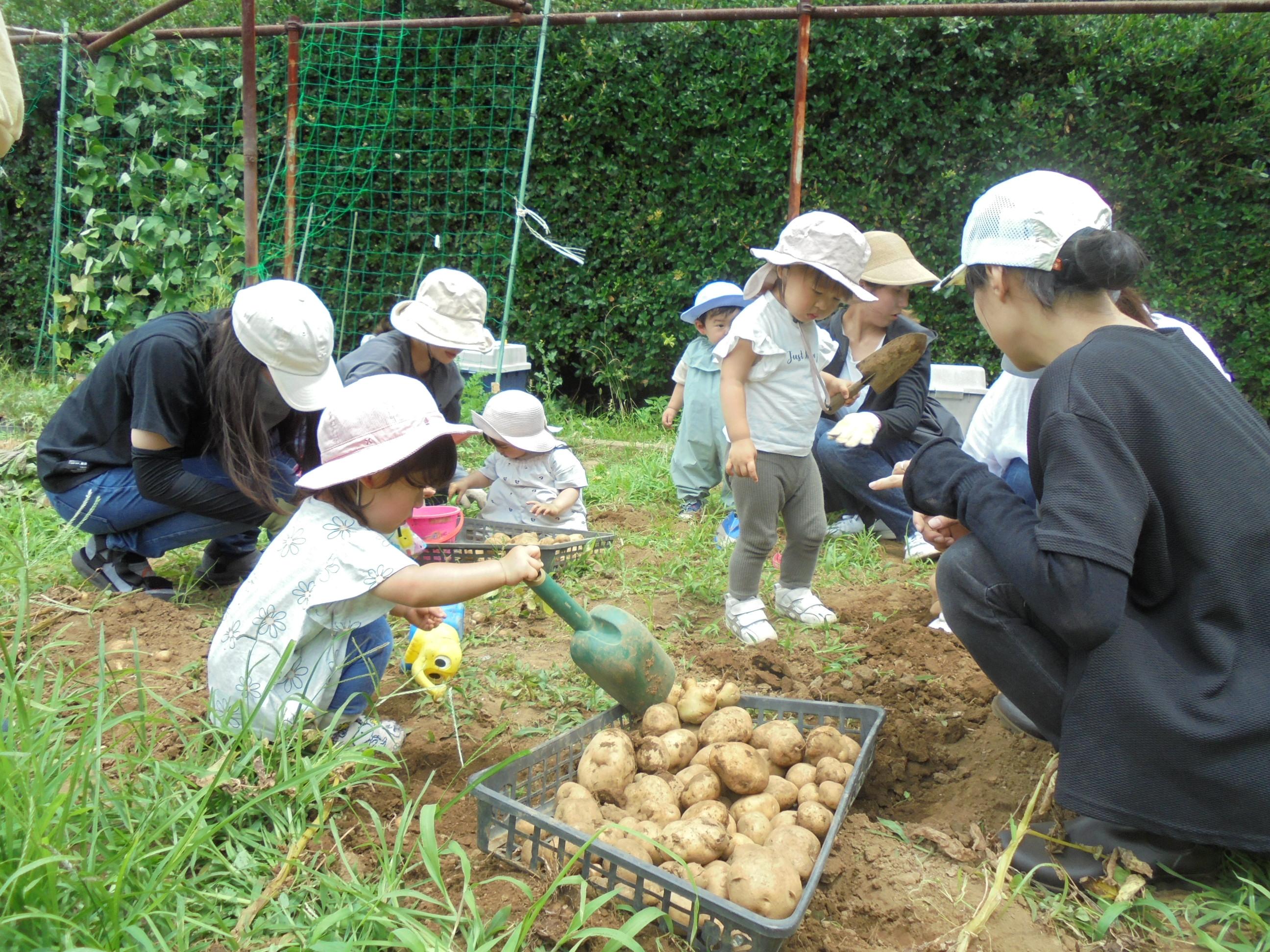 DSC03022.jpg