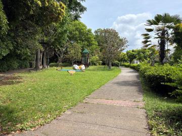 美浜運動公園②_236
