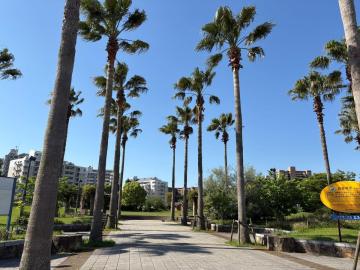 明海の丘公園①_166