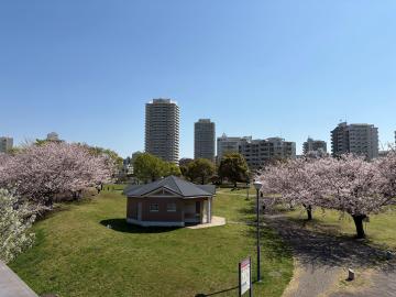 明海の丘公園_②_80