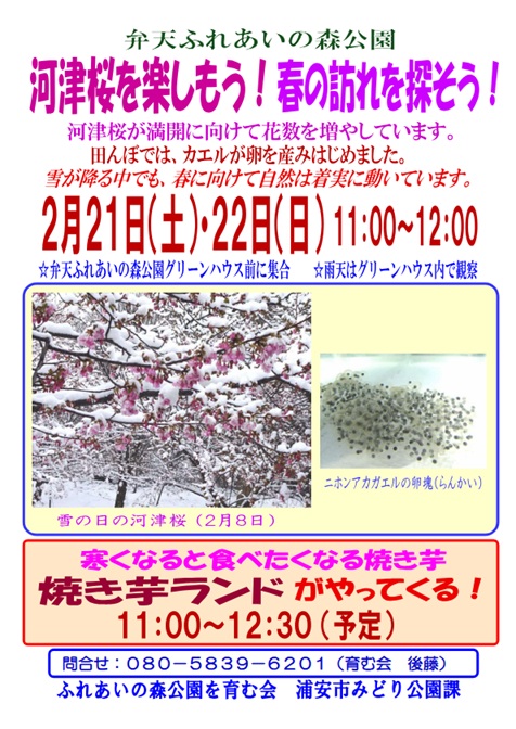 ふれあいの森①