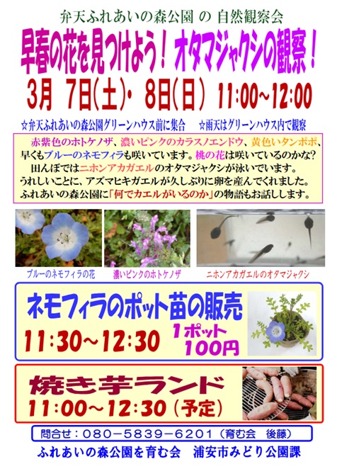 ふれあいの森①