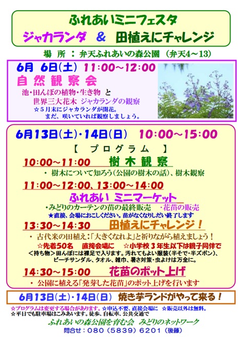 ミニフェスタ
