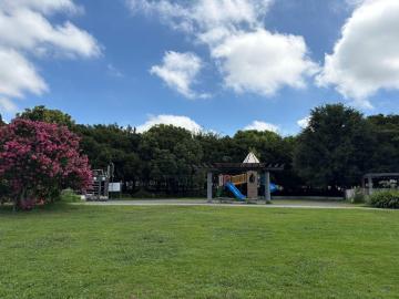 弁天ふれあいの森公園⑥