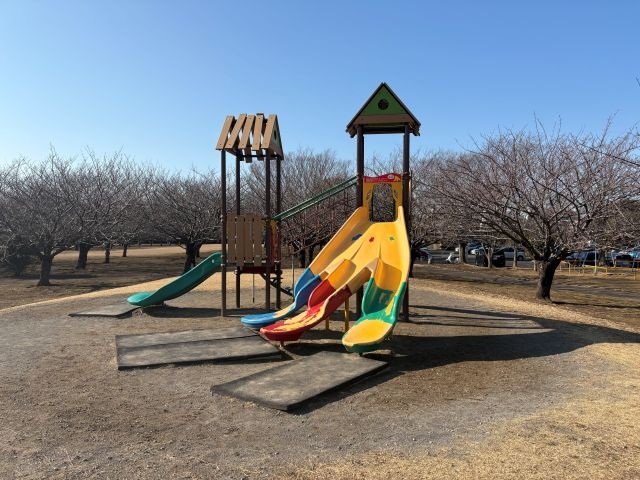 高洲中央公園①