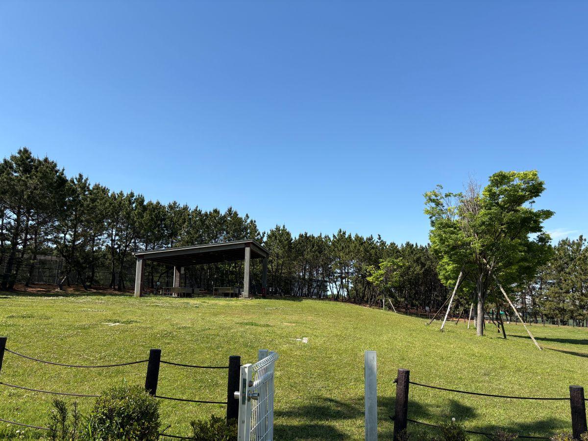 総合公園⑥デイキャンプ場_205