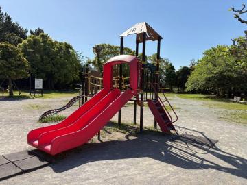 今川トリム公園②_169
