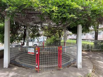 入船東エステート街区公園③_233