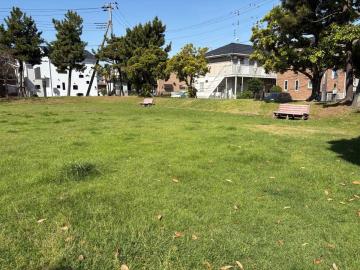 今川広場公園①_197