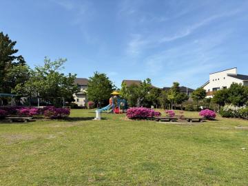 高洲西街区公園③_87