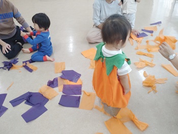 DSC_4904_xlarge.jpg
