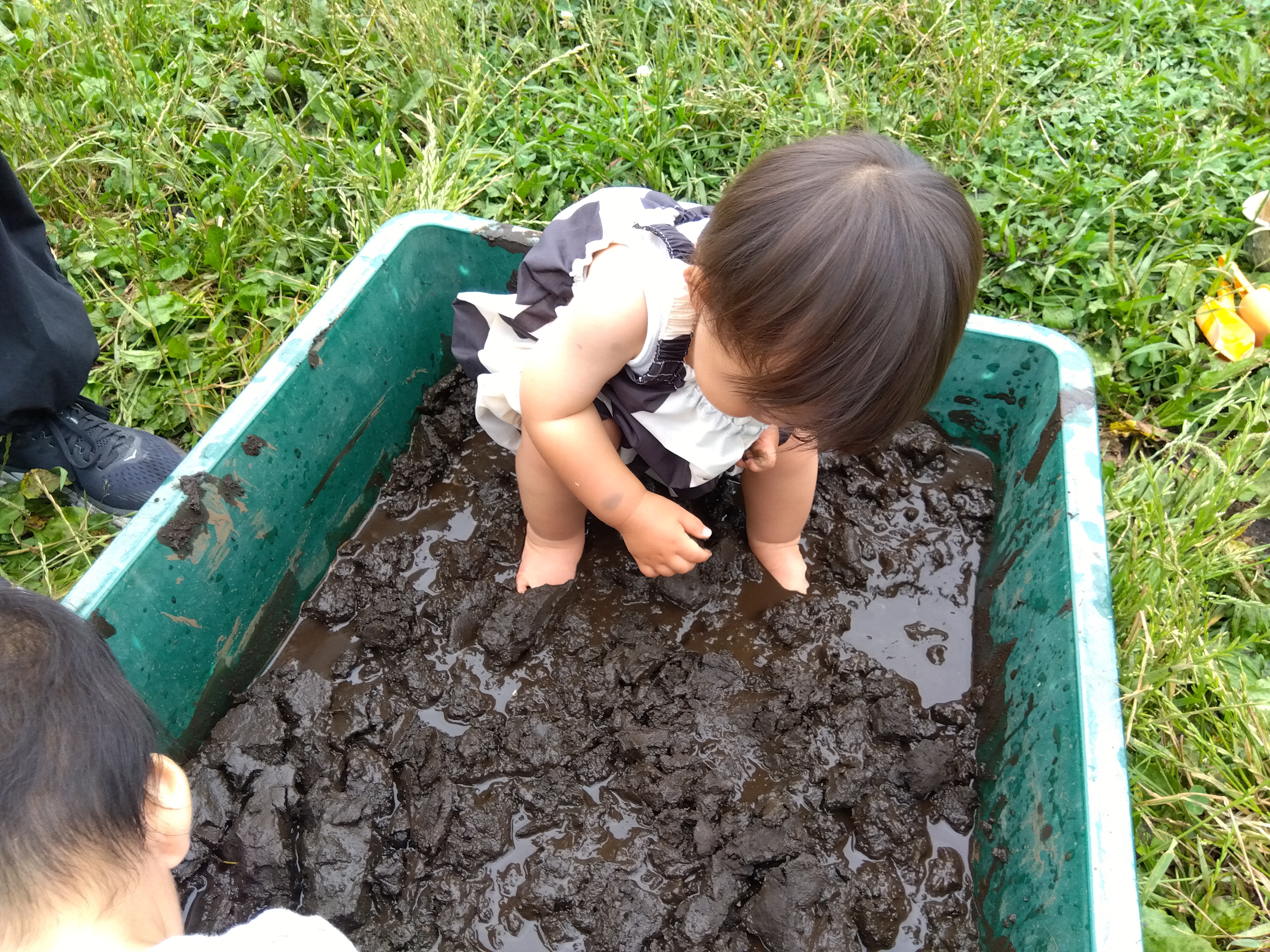 種だんご
