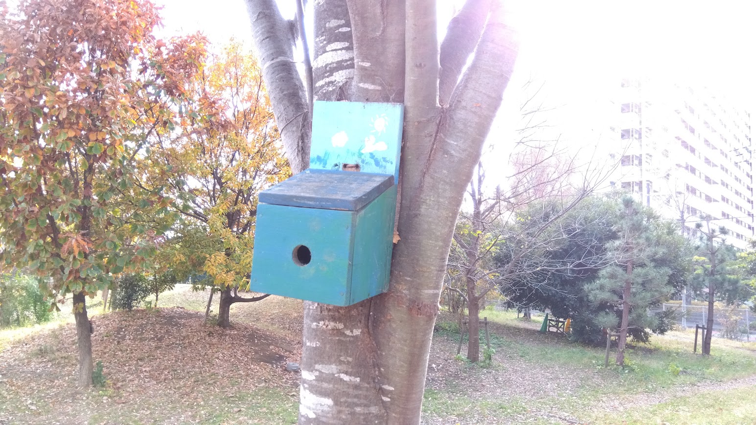 ネイチャーアート全体