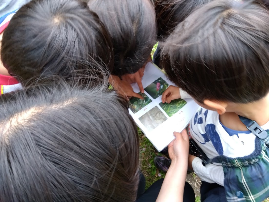 ネイチャービンゴ