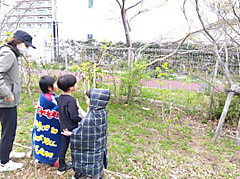 カムフラージュ