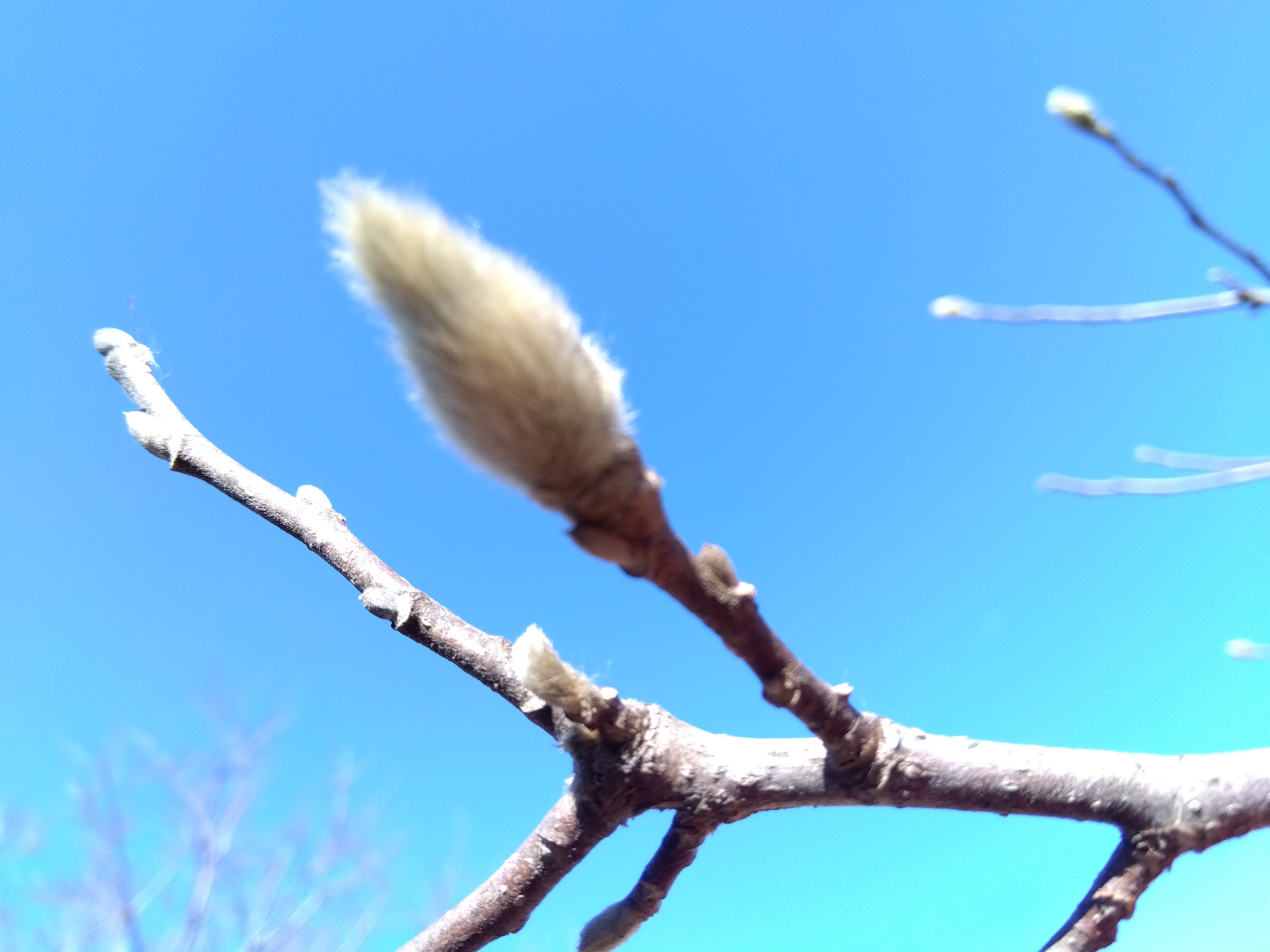 色水あそびトリミング