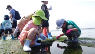 潮だまり観察会